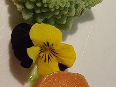 -PARFUM FLORAL花境法餐(南京首店)