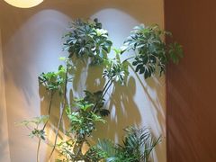 -奈雪的茶(石家庄万象城店)