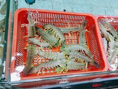 -渔民新村(番禺总店)