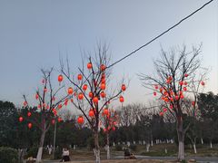 -武汉园博园(武汉自然博物馆)