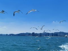 -刘公岛景区