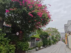 -三溪村