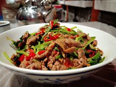 -壹盏灯(惠农店)