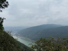 -铁山坪森林公园