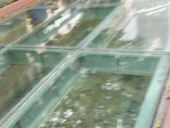 -北京路步行街-千年古道遗址