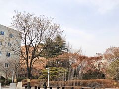 -首尔市立美术馆