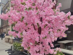 -一棠龙虾•王牌虾球(楚河汉街店)