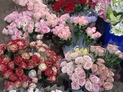 -循礼门鲜花花市(武汉循礼门店)