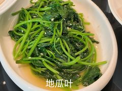 地瓜叶-兴仙饭店·闽味海鲜(马尾总店)