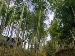 -众神白水涧景区