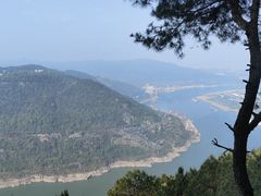 -铁山坪森林公园