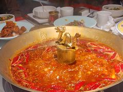 -小龙翻大江文化火锅(宽窄店)