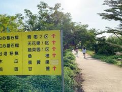 -新塘水果乐园(东洲大道店)