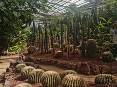 -呀路古热带植物园