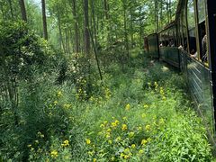 -合肥滨湖国家森林公园