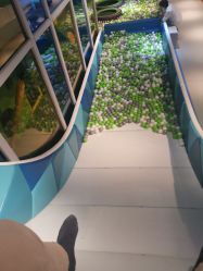 -KidSteam儿童乐园(富力城店)