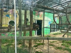 -鄂尔多斯野生动物园