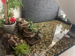 -义乌连天美医疗美容医院