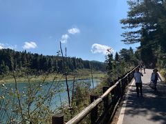 -武陵山森林公园