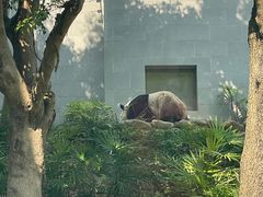 -石排湾郊野公园