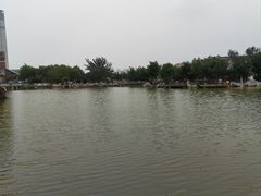 -绿岛公园(滨海新区)