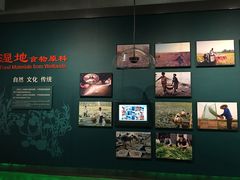 -中国湿地博物馆