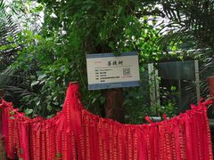 -呀路古热带植物园