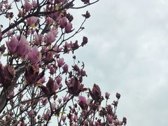 -冶父山国家森林公园