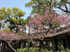 -墨池公园