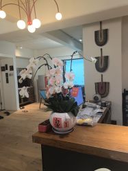 -无界瑜伽普拉提