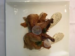 -蝶舍·MAISON PAPILLON