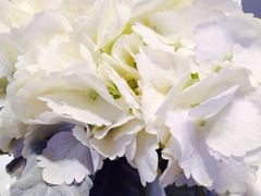 iphone_upload_pic-北京康莱德酒店