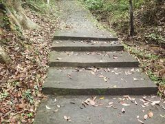-南丹山森林王国