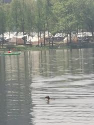 -剑鱼皮划艇俱乐部(石湖基地)