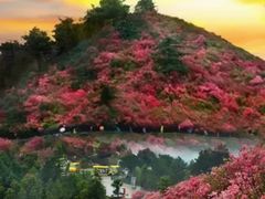 -木兰云雾山