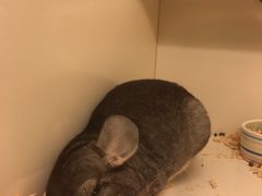 -龙猫仔乐园(惠福东路店)