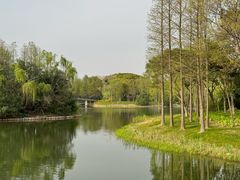 -尚贤河湿地