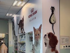 -瑞派申生动物医院·24H夜诊·国际动物医疗中心·骨外科(吴中路店)