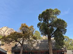 -北京凤凰岭