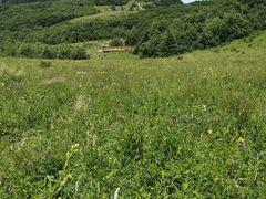 -白草畔自然风景区