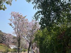 -小南山公园