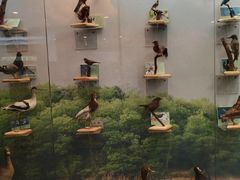 -下渚湖国家湿地公园科普馆