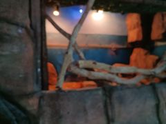 -泉州海丝野生动物世界