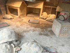 -杭州少年儿童公园