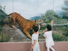 -国家自然博物馆