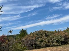 -北京西山国家森林公园