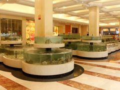 -慈溪白金汉爵大酒店