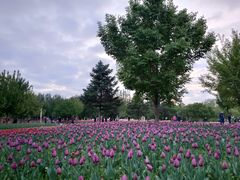 -长春公园(普阳街道)