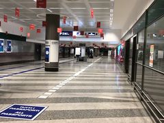 -米兰马尔彭萨国际机场