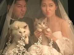 -Bastet sally猫舍购宠(静安店)